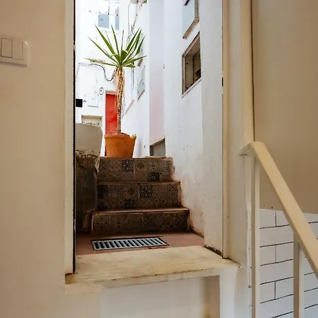 Cozy Flat Downtown Intendente And Graca 6 *