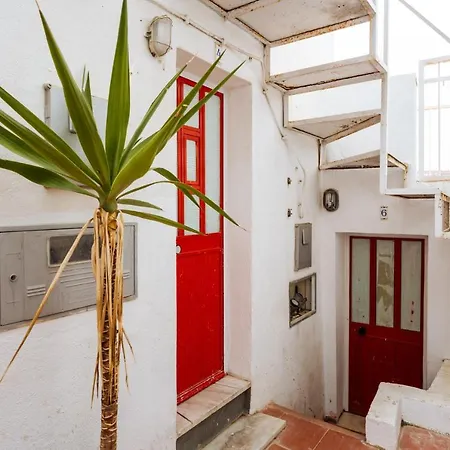 公寓 Cozy Flat Downtown Intendente And Graca 6