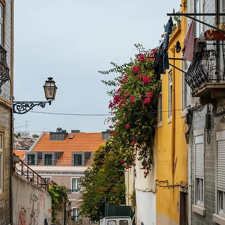 Cozy Flat Downtown Intendente And Graca 6 Апартаменты Лиссабон